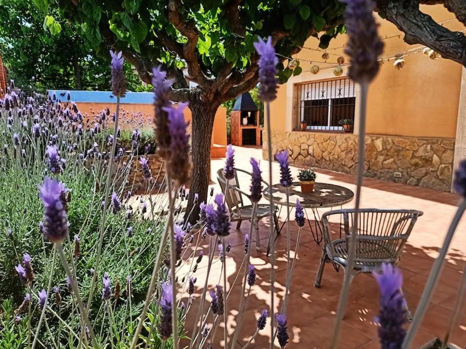 Вилла Mas Del Vent- Barbacoa, Jardin, Piscina Privada Y Vistas A Mar Кунит Экстерьер фото
